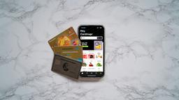 UPI Transaction Charges and Daily Limits: Your Comprehensive Guide to Guidelines, Applicability, and Rules